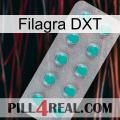 Filagra DXT 28